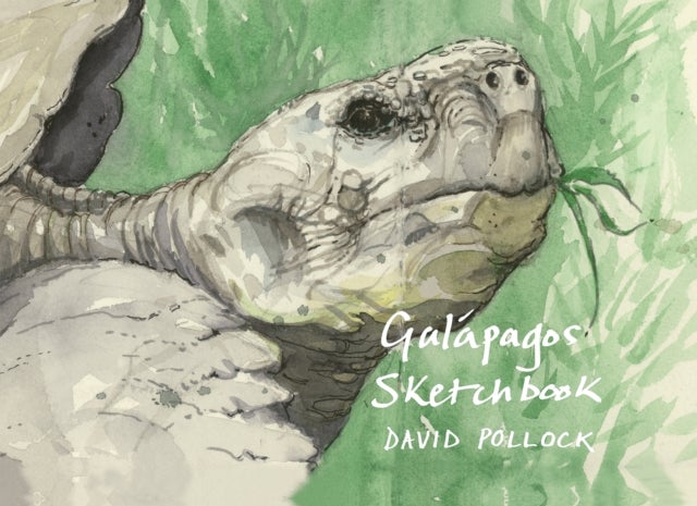 Galápagos Sketchbook