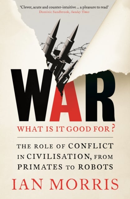 War: What is it good for? - The role of conflict in civilisation, from primates to robots