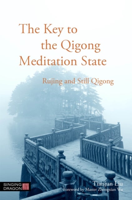 The Key to the Qigong Meditation State - Rujing and Still Qigong