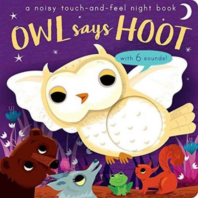 Owl Says Hoot - A noisy touch-and-feel night book