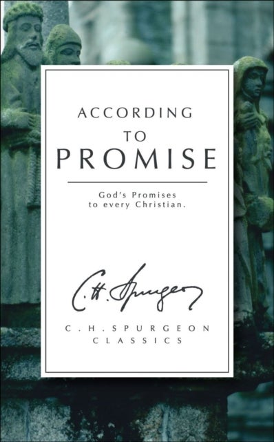 According to Promise - God's Promises to Every Christian