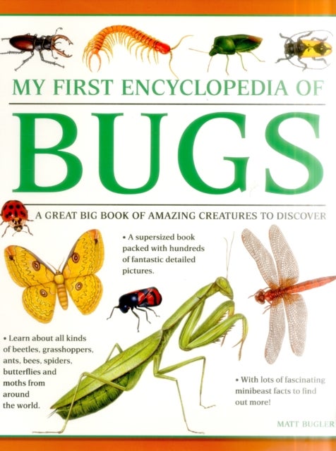 My First Encylopedia of Bugs