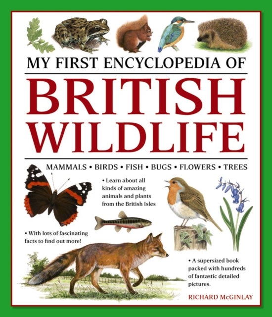 My First Encylopedia of British Wildlife - Mammals, Birds, Fish, Bugs, Flowers, Trees