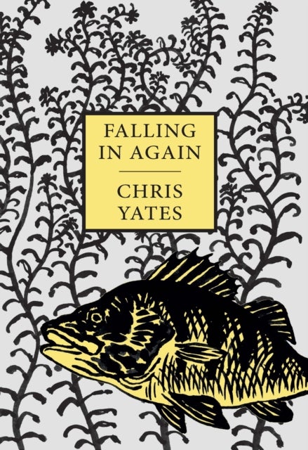 Falling in Again - Tales of an Incorrigible Angler