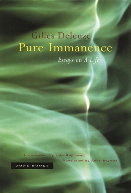 Pure Immanence – Essays on a Life - Essays on A Life