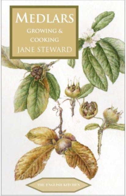 Medlars - Growing and Cooking - Growing & Cooking