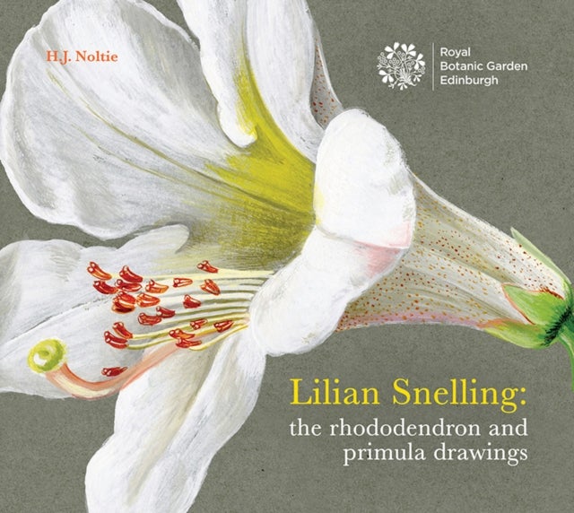 Lillian Snelling - The Rhododendron and Primula Drawings
