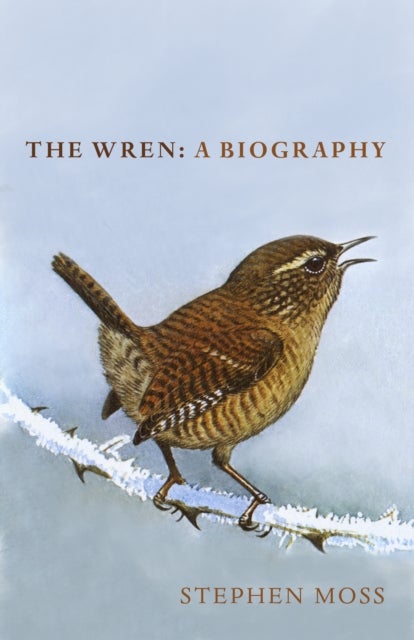 The Wren - A Biography