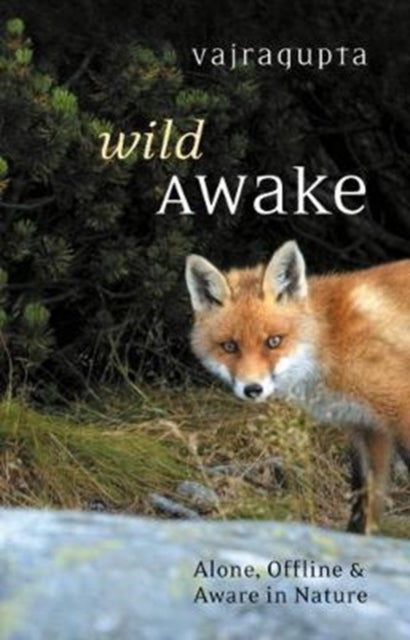 Wild Awake - Alone, Offline and Aware in Nature