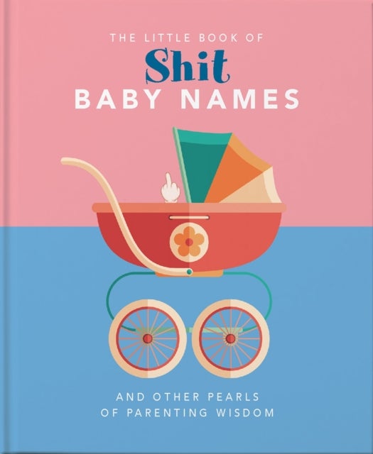The Little Book of Shit Baby Names - And Other Pearls of Parenting Wisdom