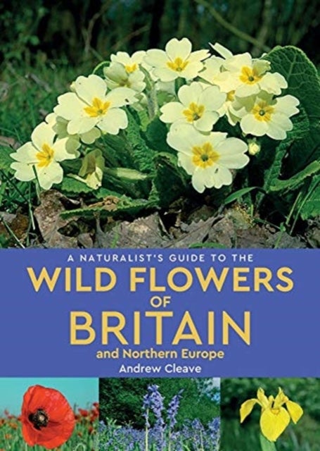 A Naturalist's Guide to the Wild Flowers of Britai