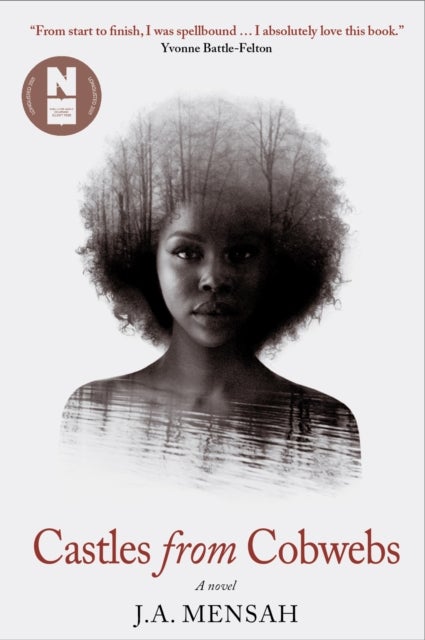 Castles from Cobwebs - Longlisted for the Desmond Elliott Prize