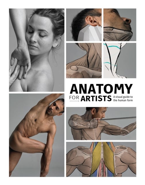 Anatomy for Artists - A visual guide to the human form