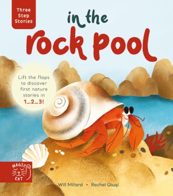 Three Step Stories: In the Rock Pool - Lift the Flaps to Discover First Nature Stories in 1… 2… 3!