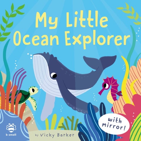 My Little Ocean Explorer - Mirror Book!