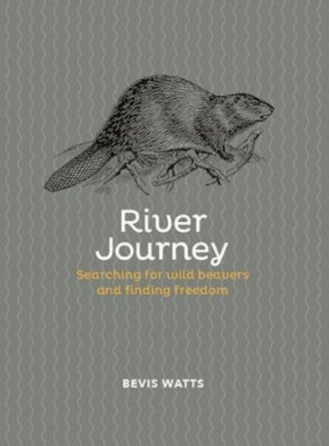 River Journey - Searching For Wild Beavers And Finding Freedom