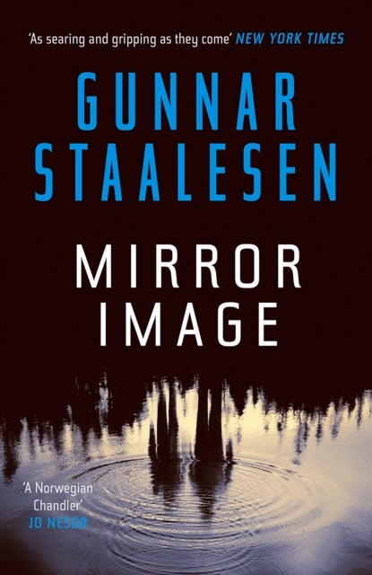 Mirror Image - The present mirrors the past in a chilling Varg Veum thriller
