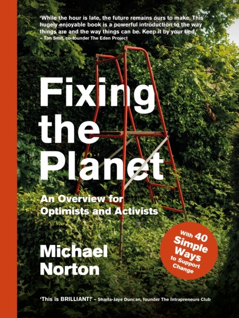 Fixing the Planet - An Overview for Optimists and Activists