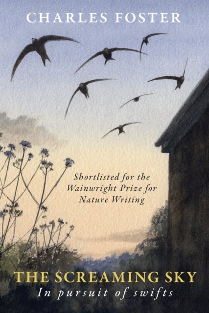 The Screaming Sky - in pursuit of swifts
