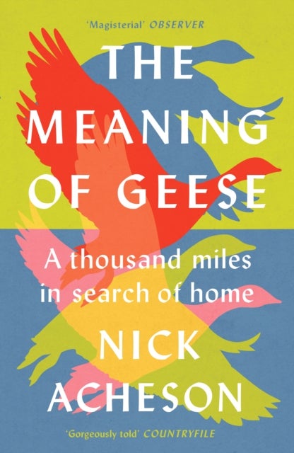 The Meaning of Geese - A Thousand Miles in Search of Home