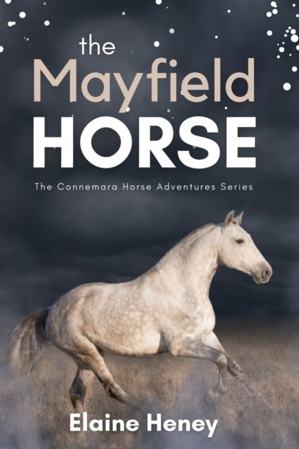 The Mayfield Horse - Book 3 in the Connemara Horse Adventure Series for Kids. The perfect gift for children age 8-12
