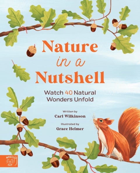 Nature in a nutshell - Watch 40 Natural Wonders Unfold