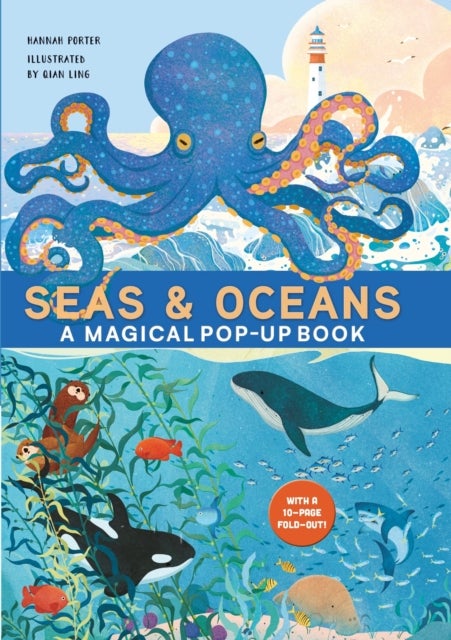 Seas & Oceans - A Magical Pop-Up Book