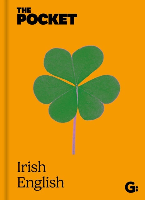 The Pocket Irish-english