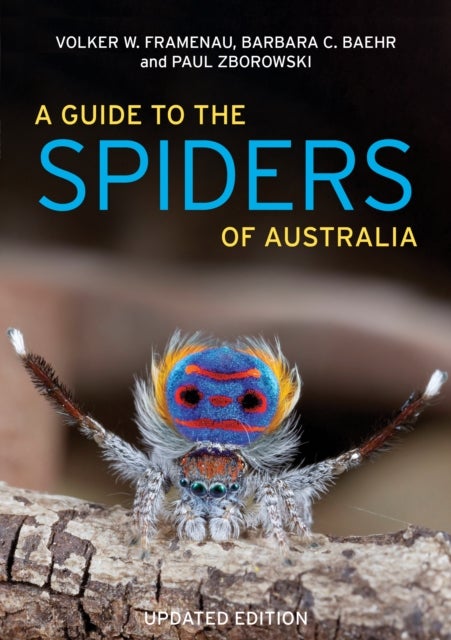 A Guide to the Spiders of Australia - Updated edition