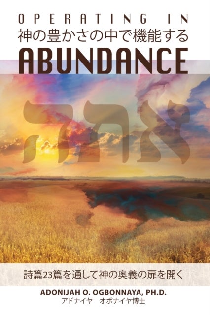 Operating in Abundance (Japanese Edition)