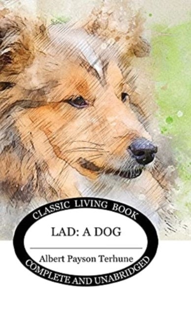 Lad - A Dog