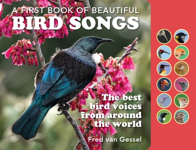 A Book of Beautiful Bird Songs - The best bird voices from around the world