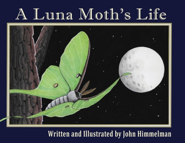 A Luna Moth''s Life