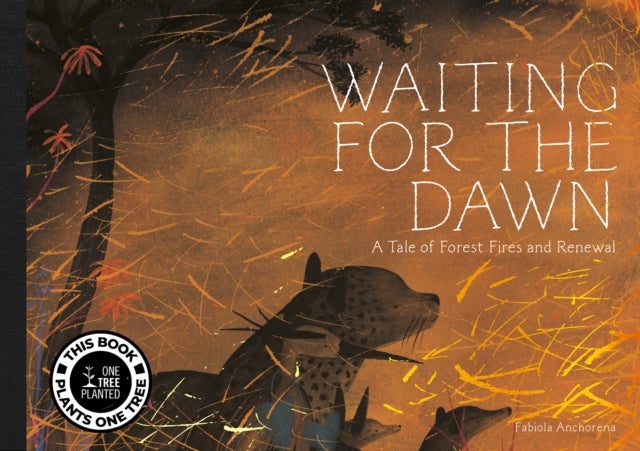 Waiting for the Dawn - A Tale of Forest Fires and Renewal