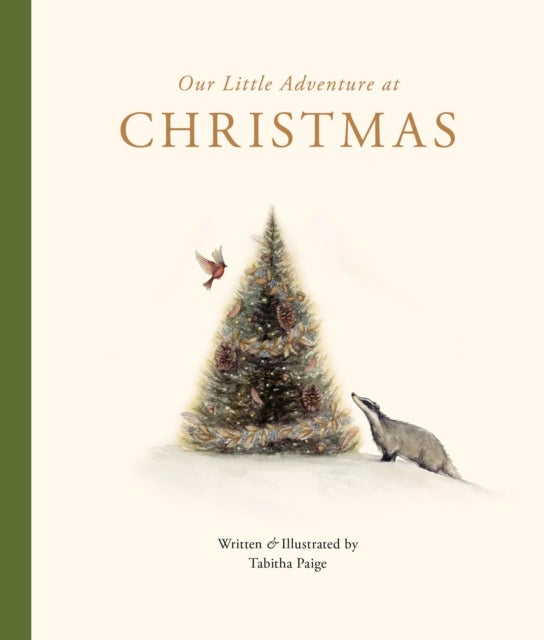 Our Little Adventure at Christmas