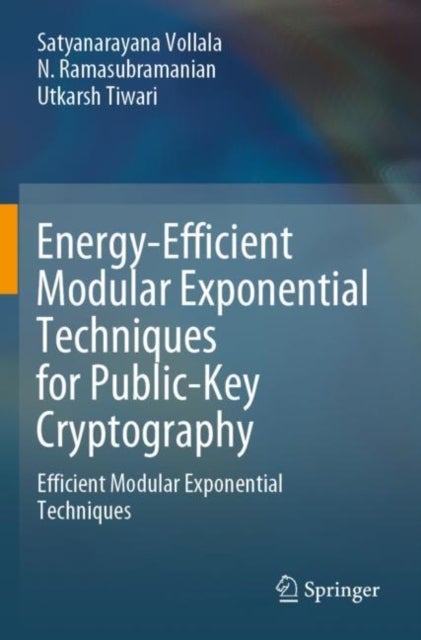 Energy-Efficient Modular Exponential Techniques for Public-Key Cryptography - Efficient Modular Exponential Techniques