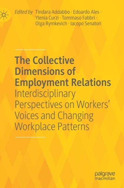 The Collective Dimensions of Employment Relations - Interdisciplinary Perspectives on Workers’ Voices and Changing Workplace Patterns