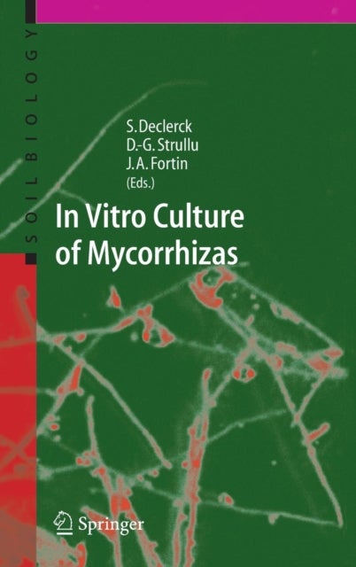 In Vitro Culture Of Mycorrhizas