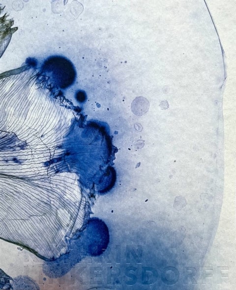 Kathrin Linkersdorff Works