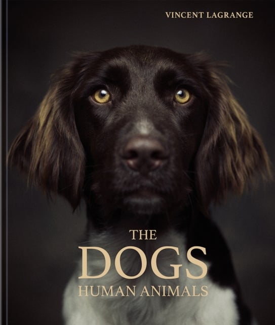 Dogs - Human Animals