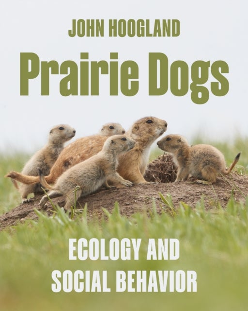 Prairie Dogs – Ecology and Social Behavior - Ecology and Social Behavior