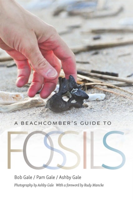 A Beachcomber`s Guide to Fossils