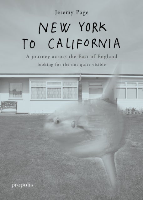 New York To California - A journey across the East of England searching for the not quite visible