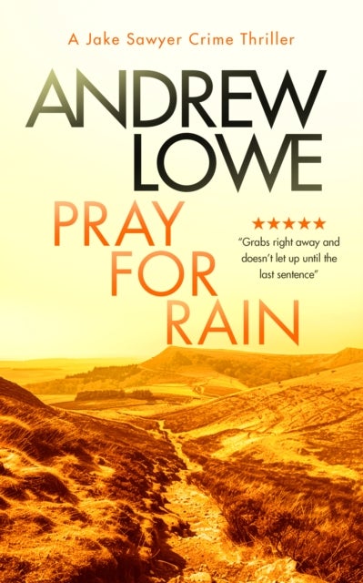 Pray for Rain - A page-turning British detective crime thriller with twists