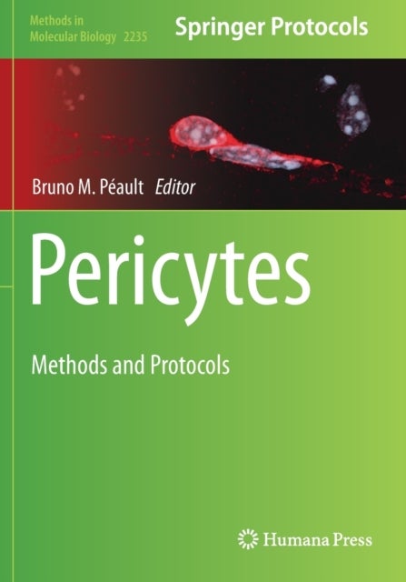 Pericytes - Methods and Protocols