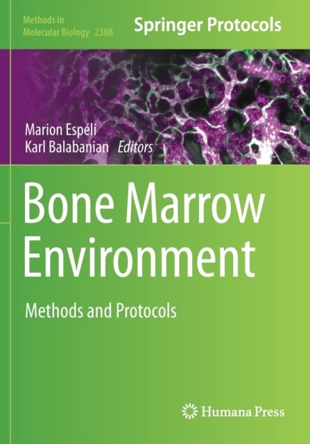 Bone Marrow Environment - Methods and Protocols