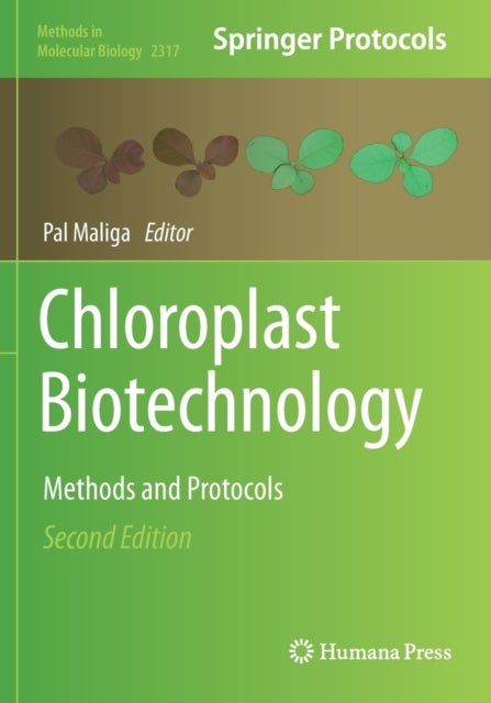 Chloroplast Biotechnology - Methods and Protocols