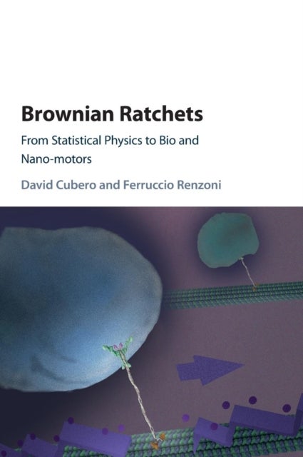 Brownian Ratchets - From Statistical Physics to Bio and Nano-motors