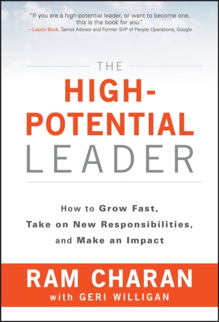 The High-Potential Leader - How to Grow Fast, Take on New Responsibilities, and Make an Impact