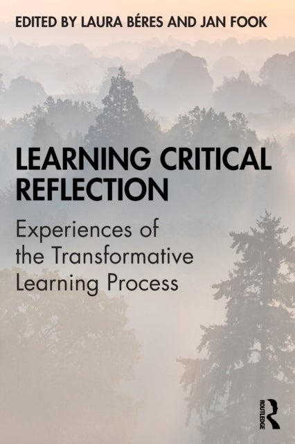 Learning Critical Reflection - Experiences of the Transformative Learning Process